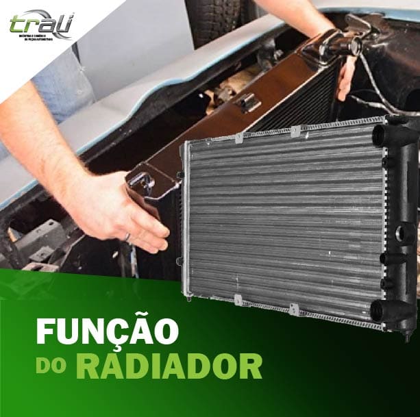 Página de Modelo